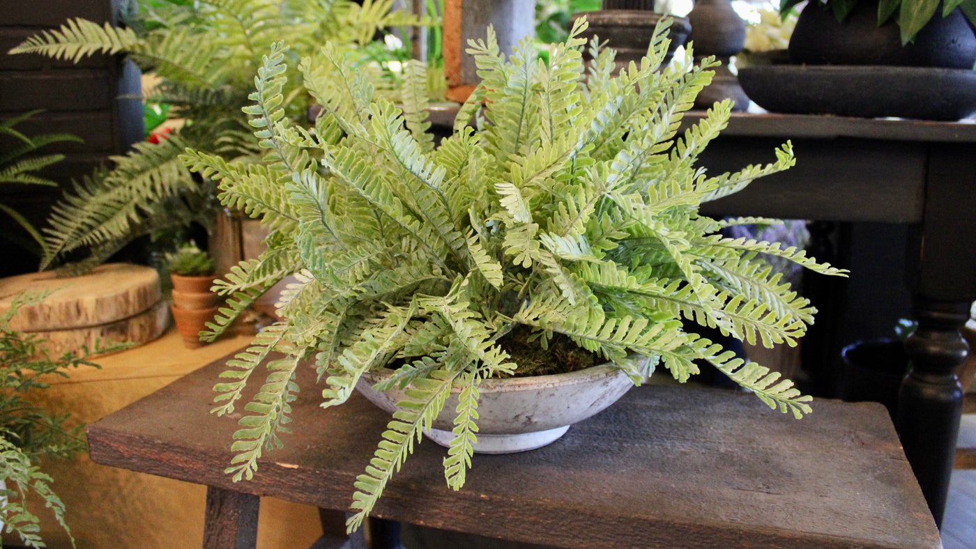 Frosted Fern Bowl