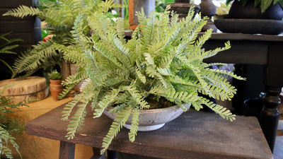 Frosted Fern Bowl