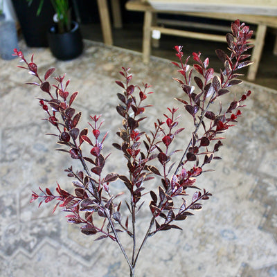 Burgundy Euonymus Spray