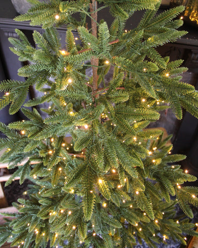 7’ Balsam Fir Tree