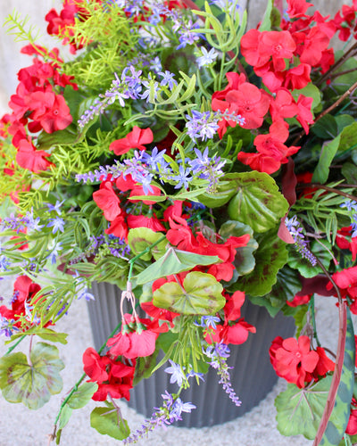 Hanging Basket/Drop-In Red