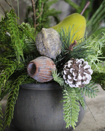 Potted Pine & Pear Arrangement