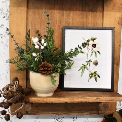 Potted Pine Cone & Cream Hypericum Arrangement