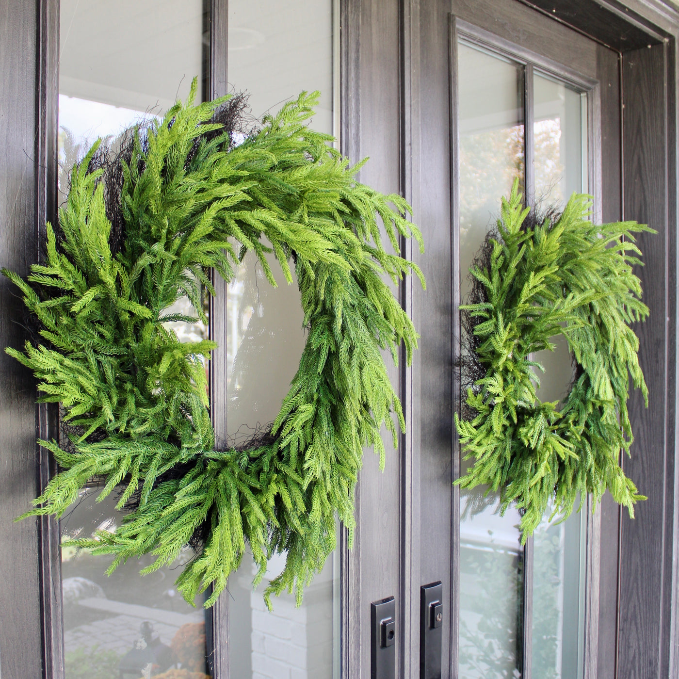 30” Fresh Touch Norfolk Pine Wreath