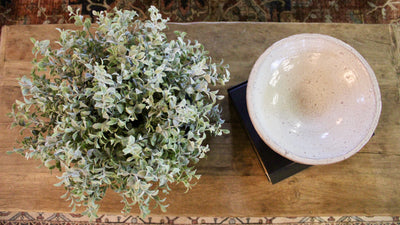 Tea Leaf Bush