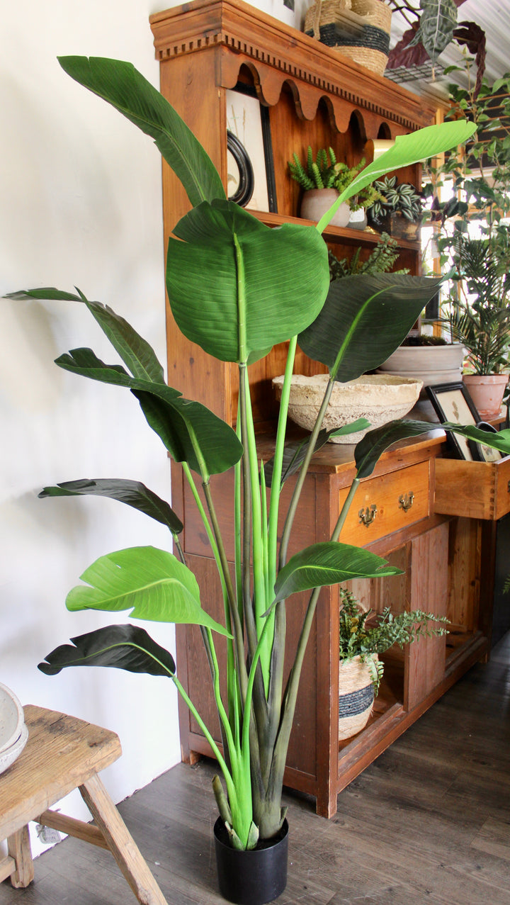 6' Bird of Paradise Tree – Fauxliage