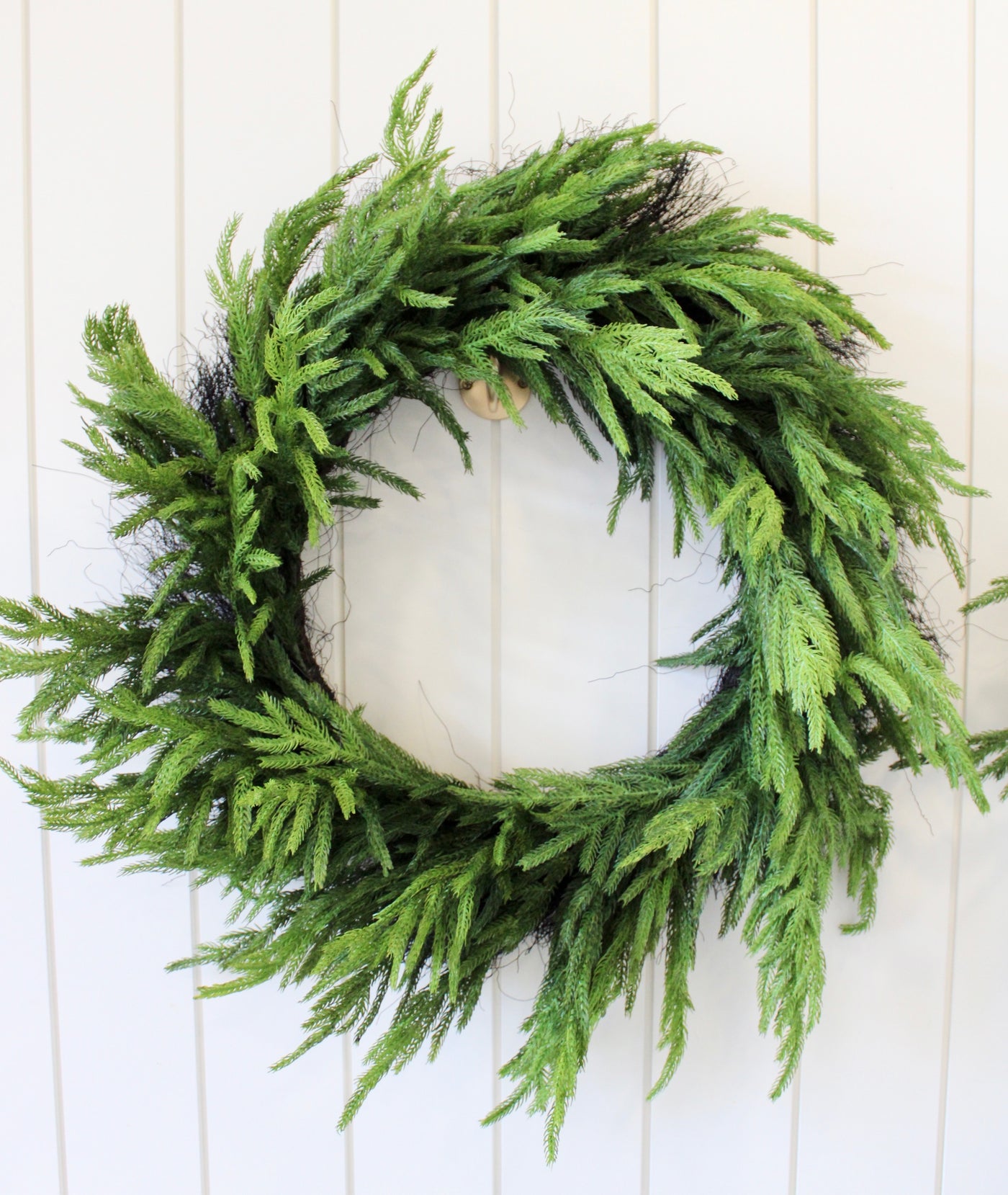 30” Fresh Touch Norfolk Pine Wreath