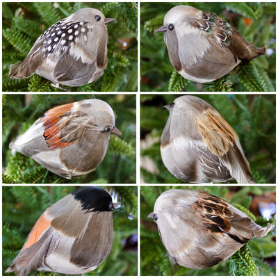 Plump Bird Ornaments