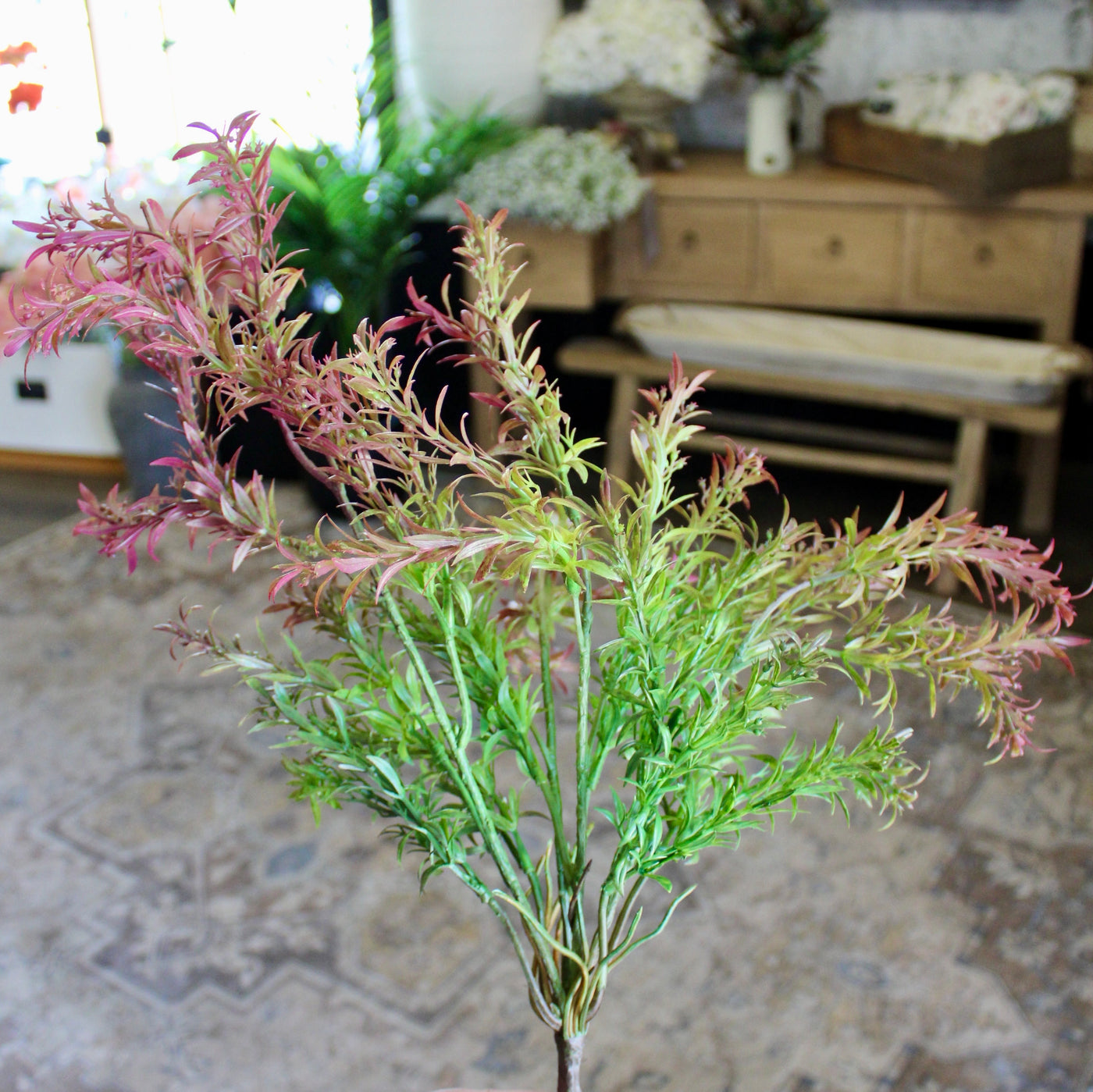 Burgundy & Green Sage Bush