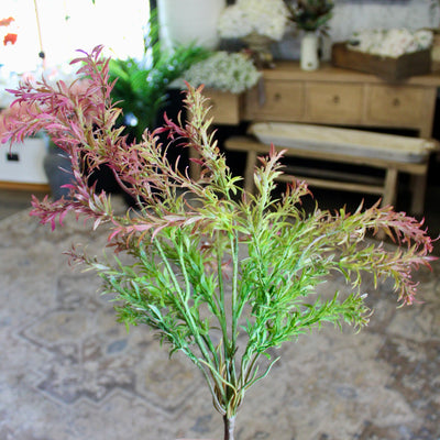 Burgundy & Green Sage Bush