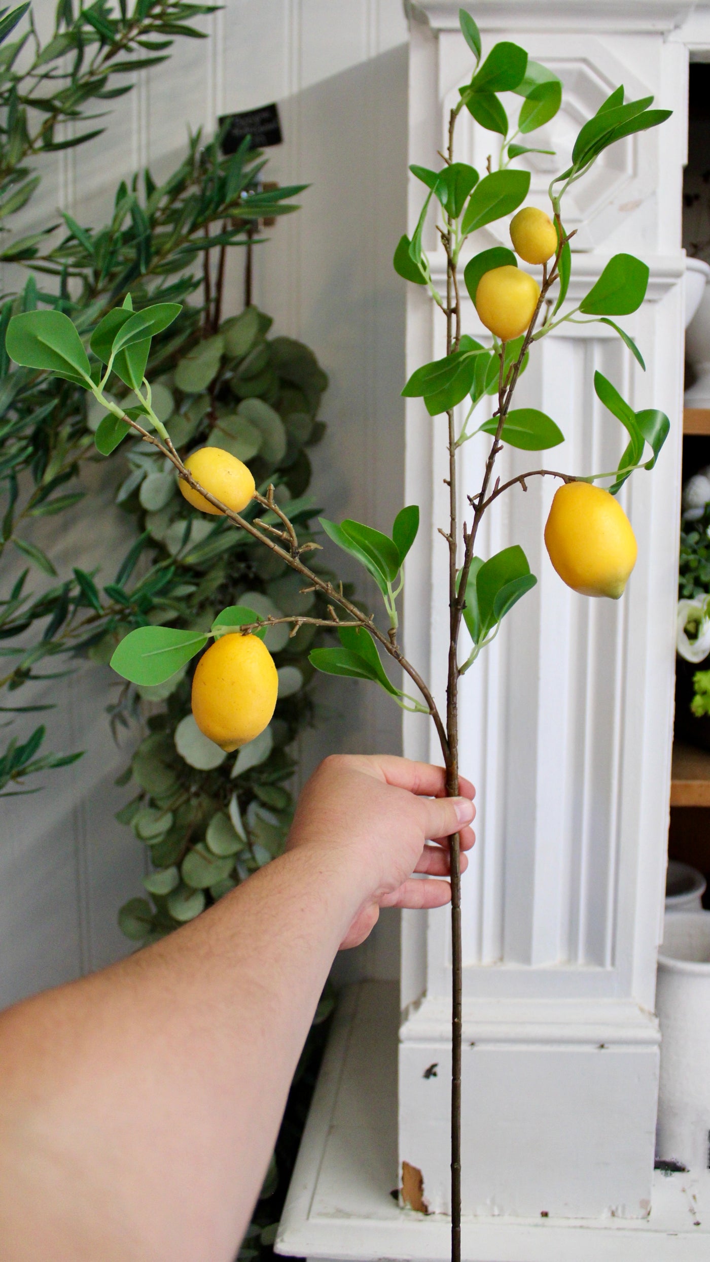 Lemon Branch