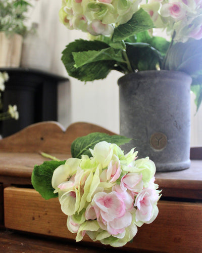 Pink & Green Hydrangea Stem