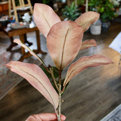 Magnolia Spray