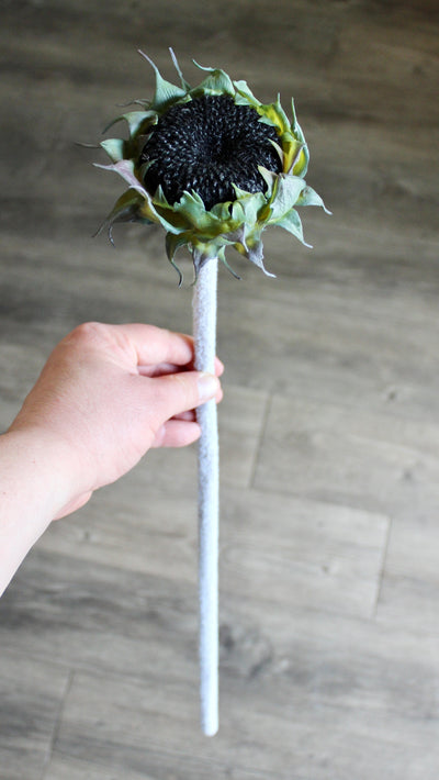 Black Sunflower Stem