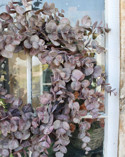 Burgundy Eucalyptus Wreath