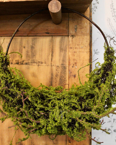 Moss Basket