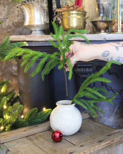 12” Fresh Touch Norfolk Pine Mini Pick