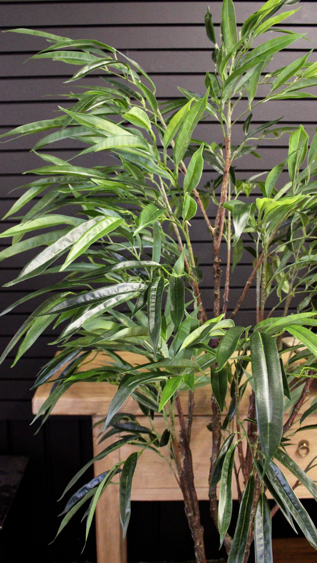 Ficus Tree Long 5.5’ Long Leaf Ficus Tree – Fauxliage