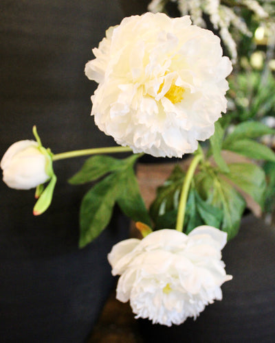 White Peony Spray