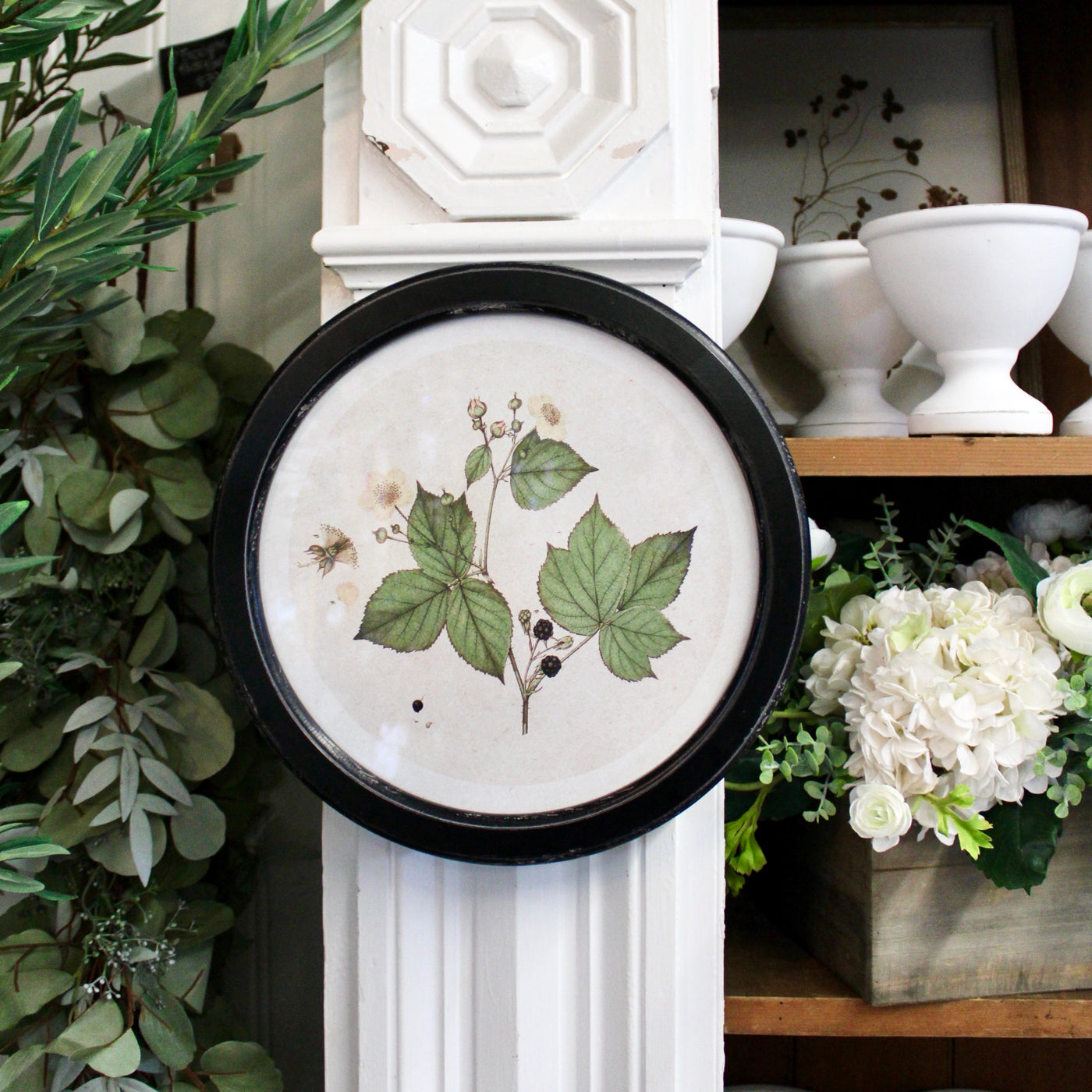 Round Frame Botanical Prints