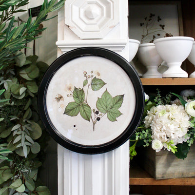 Round Frame Botanical Prints