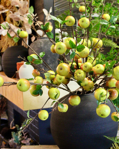 Apple Branch