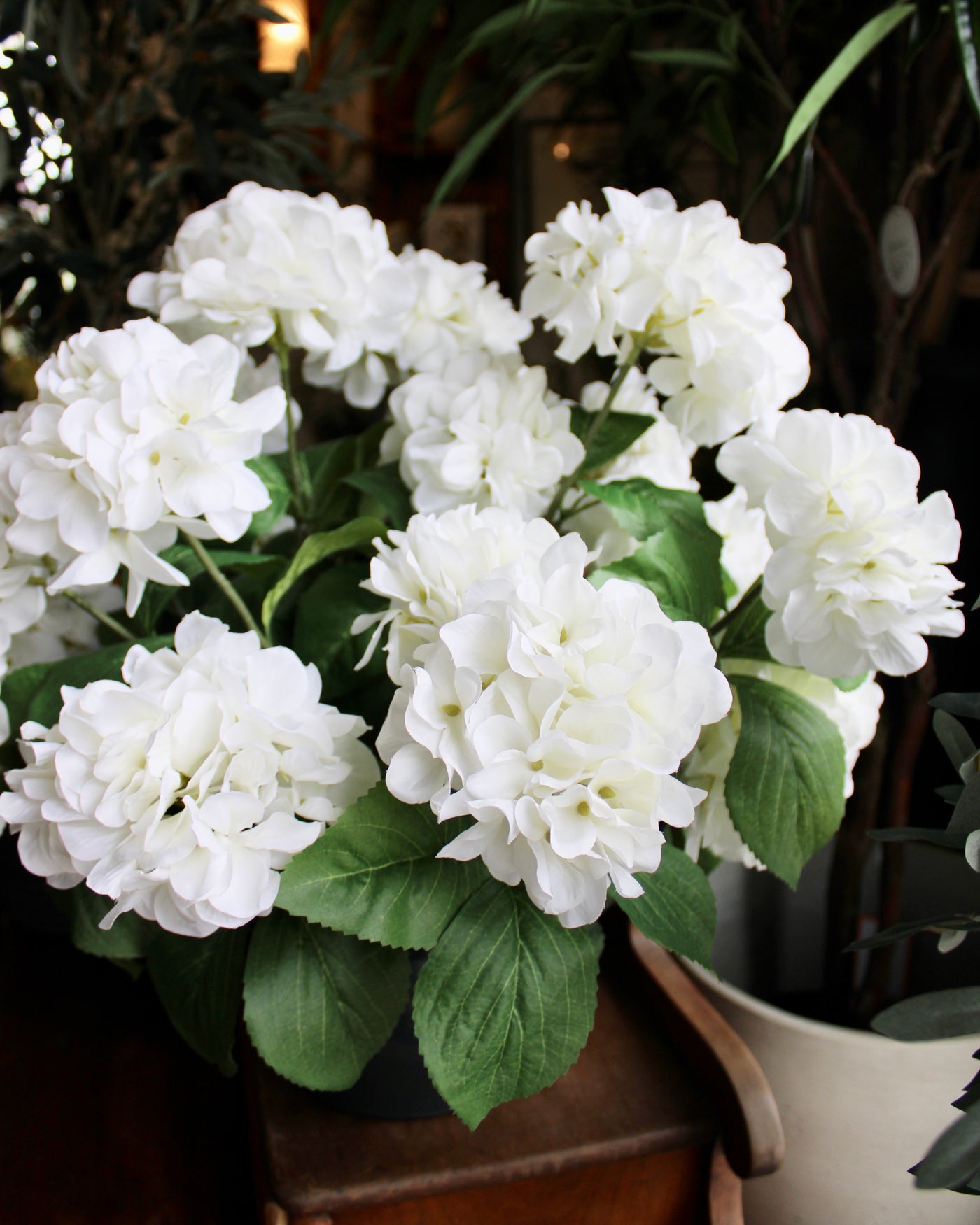 White Hydrangea Bush