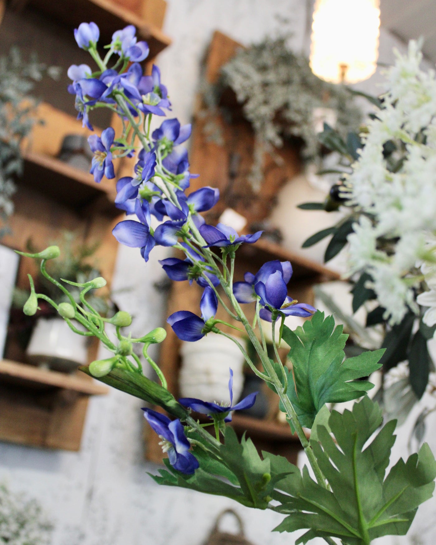 Blue Delphinium Stem