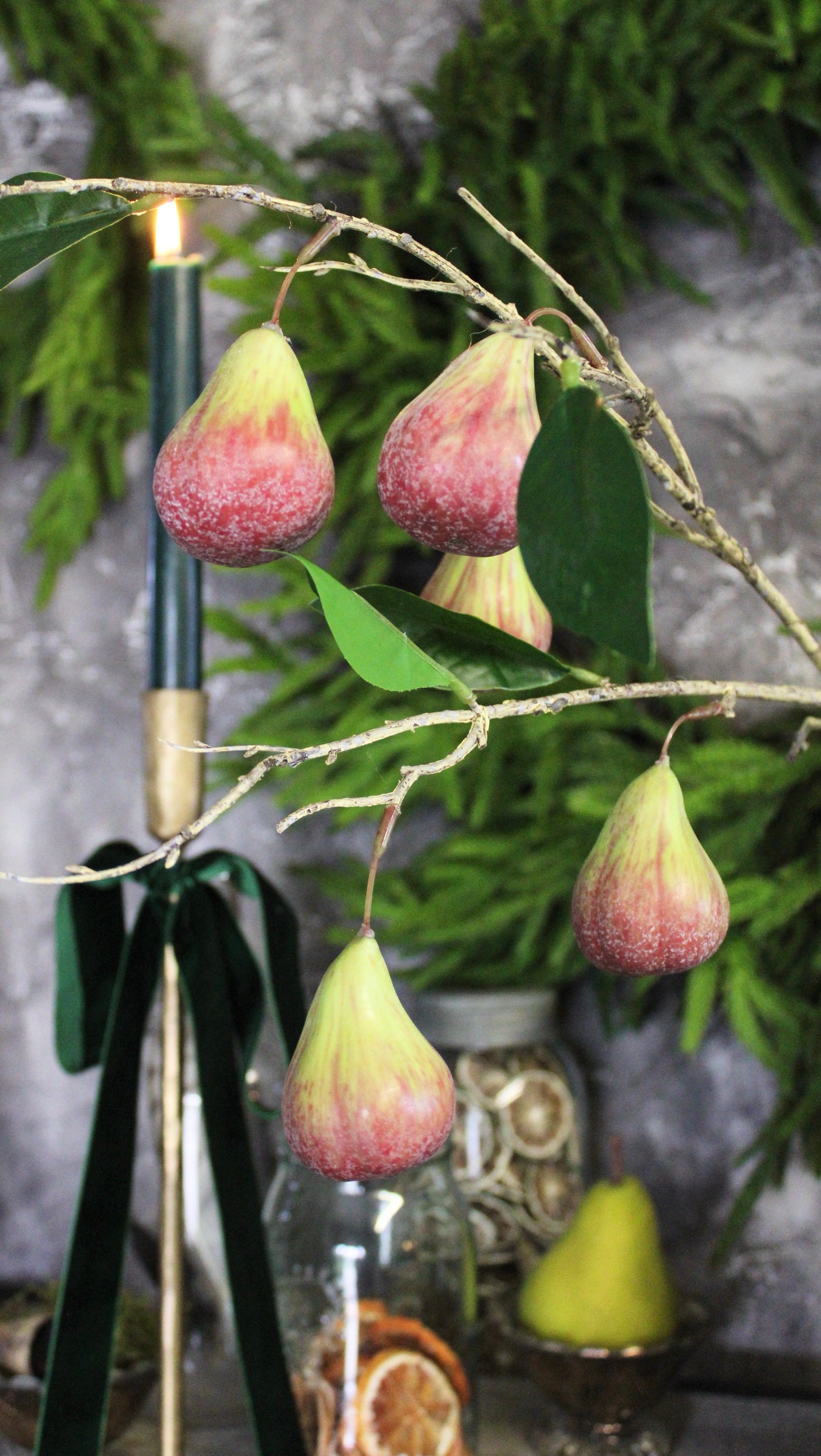 Fig Branch