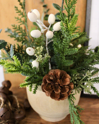 Potted Pine Cone & Cream Hypericum Arrangement