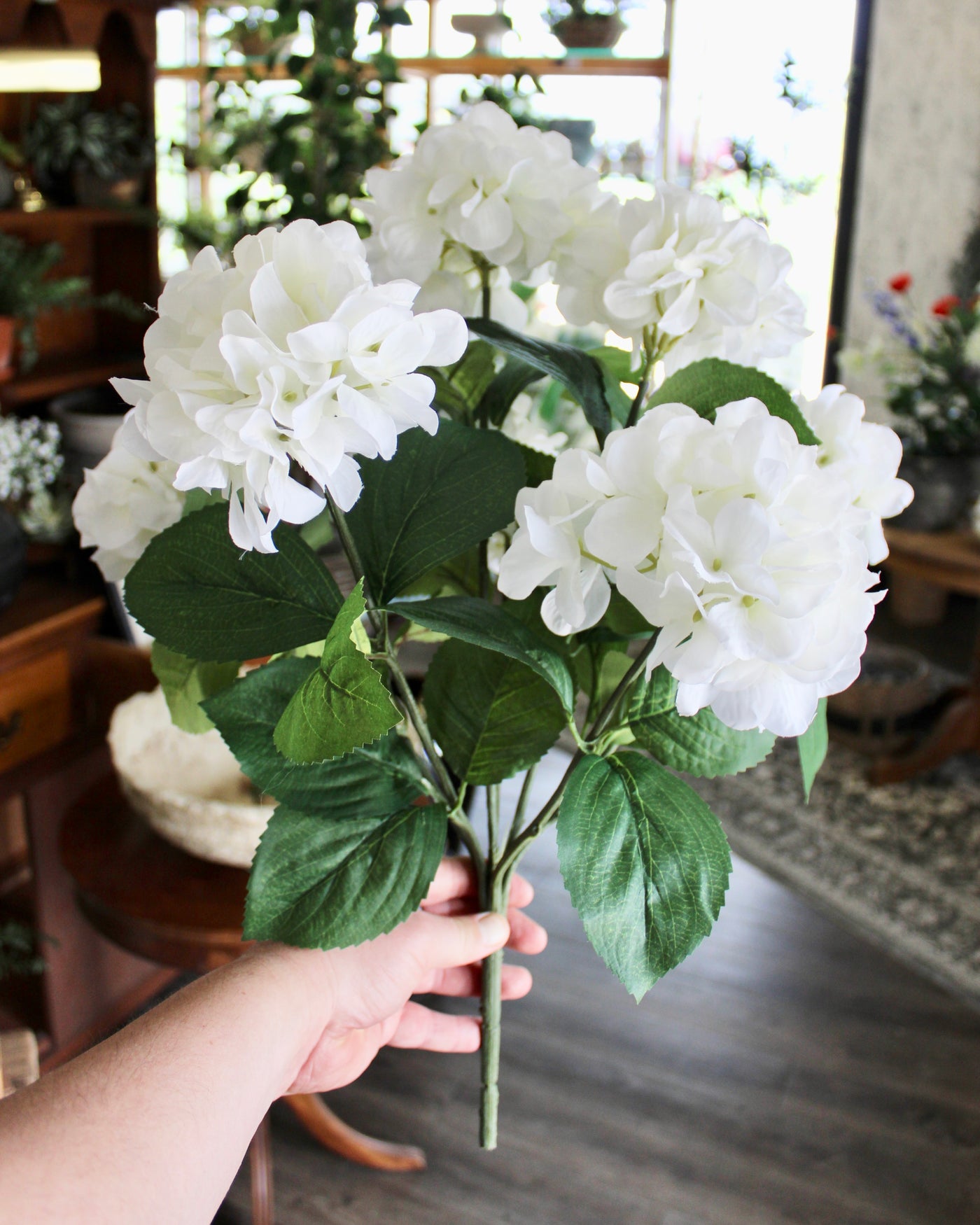 White Hydrangea Bush