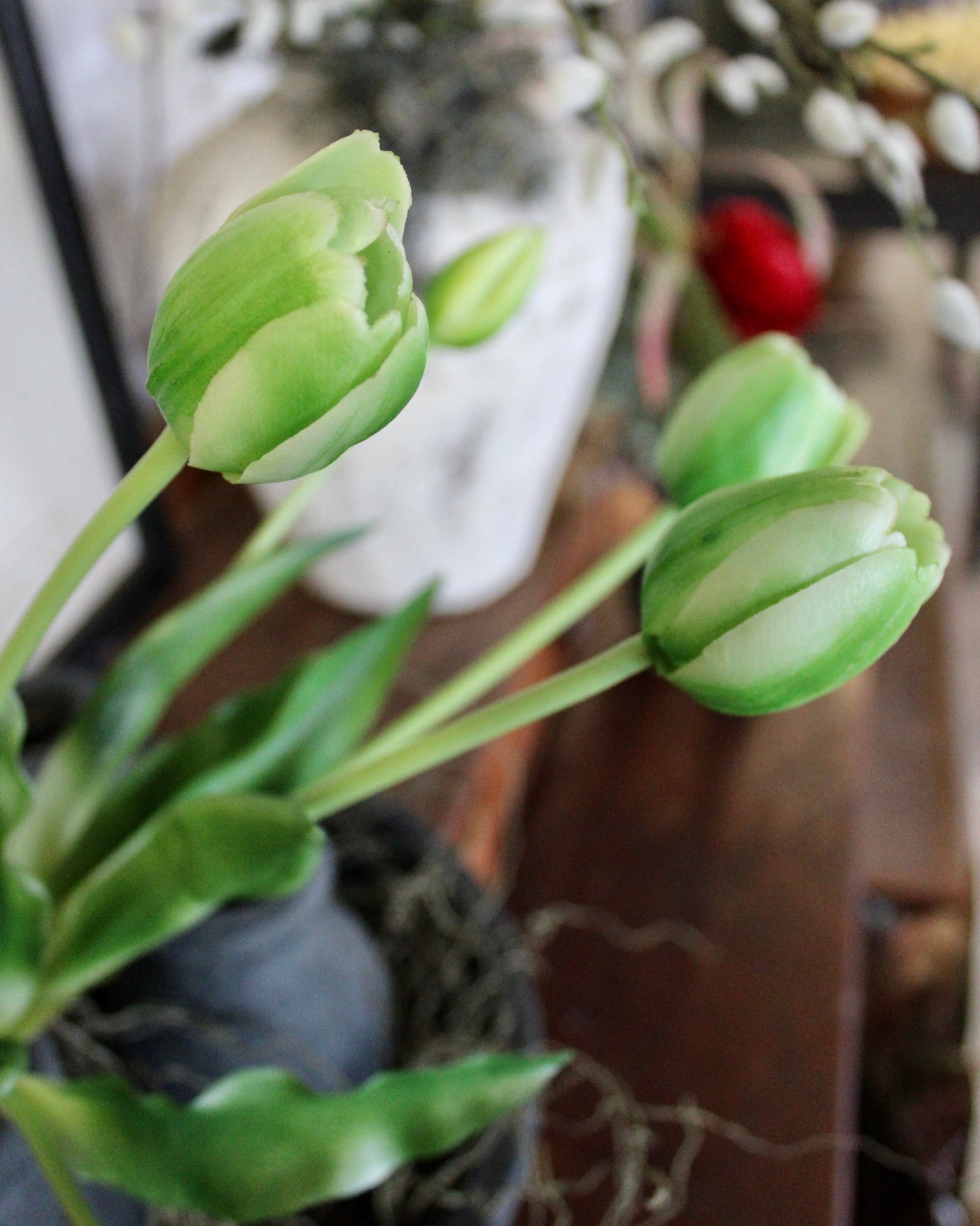 Green Tulip Bundle (5 Stems)