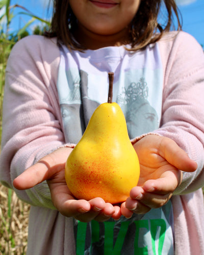 Faux Yellow Pear