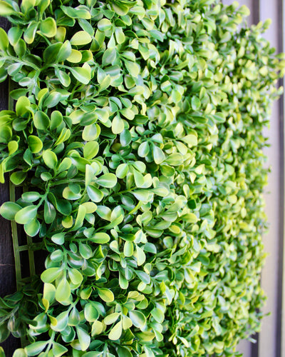 20” Boxwood Panel