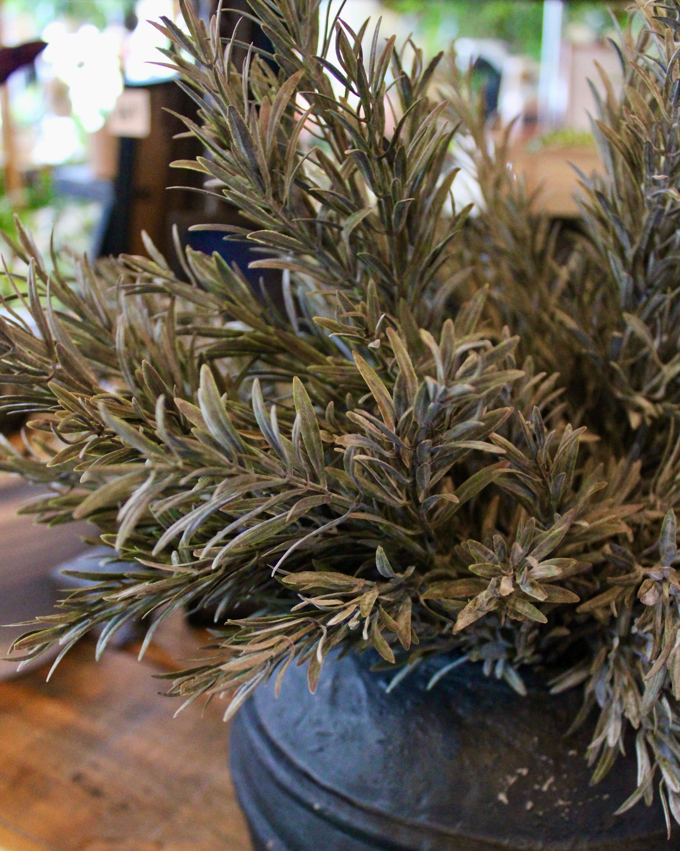 Rosemary Spray