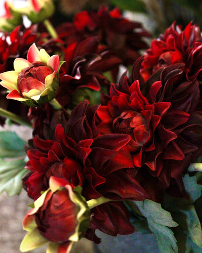 Burgundy Dahlia Spray