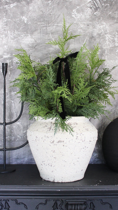 Potted 24” Fresh Touch White Cedar