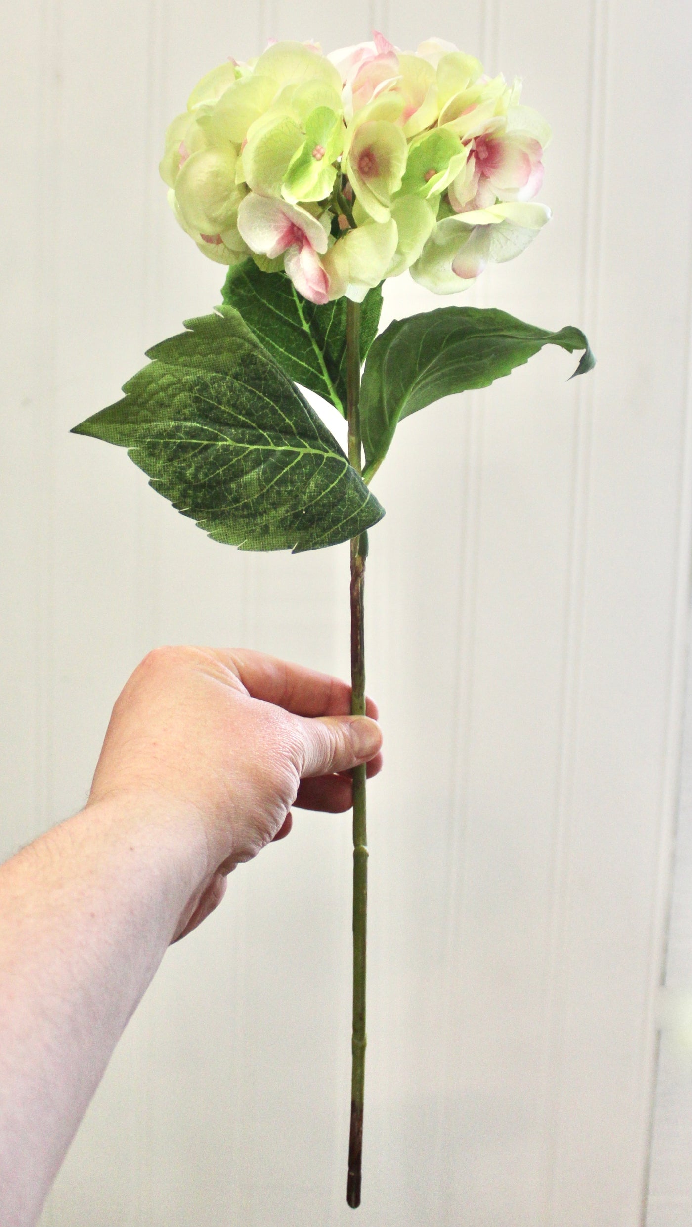 Pink & Green Hydrangea Stem