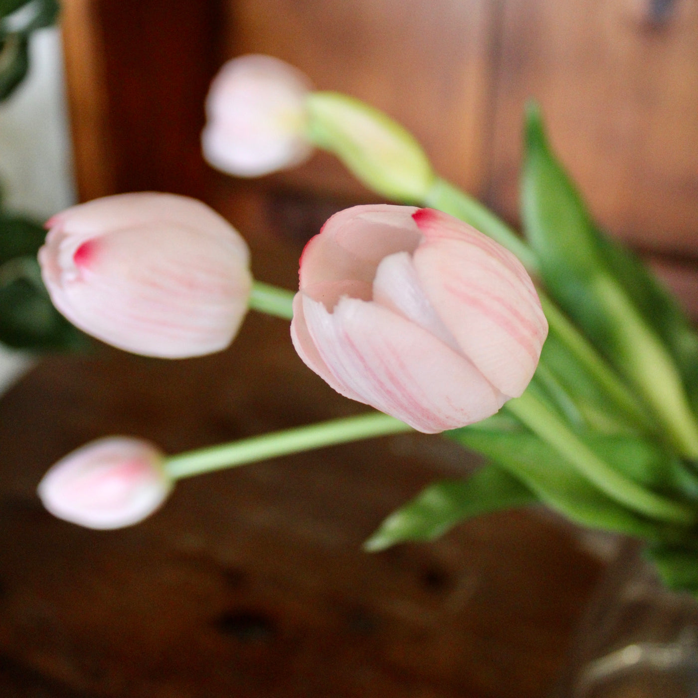 Blush Tulip Bundle (5 Stems)