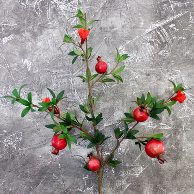 Pomegranate Branch