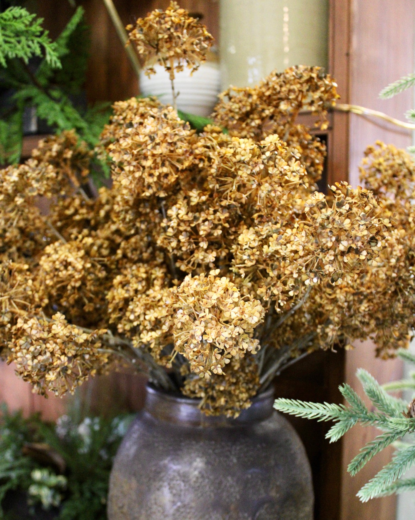 Golden Hydrangea Stem