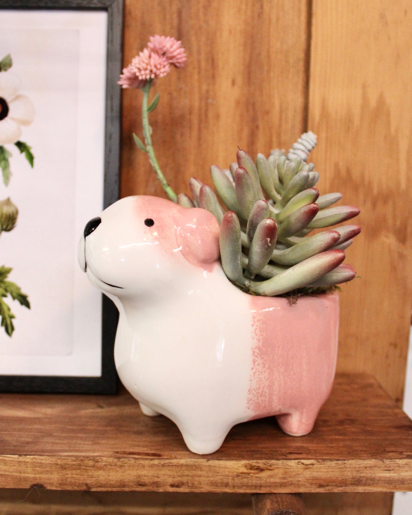 Ceramic Dog Succulent Arrangement (Rufus)