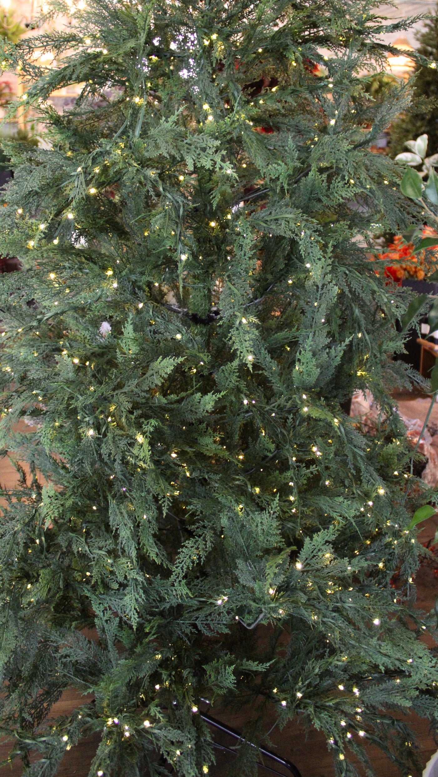 7.5’ Nature’s Touch B.C. Cedar Tree