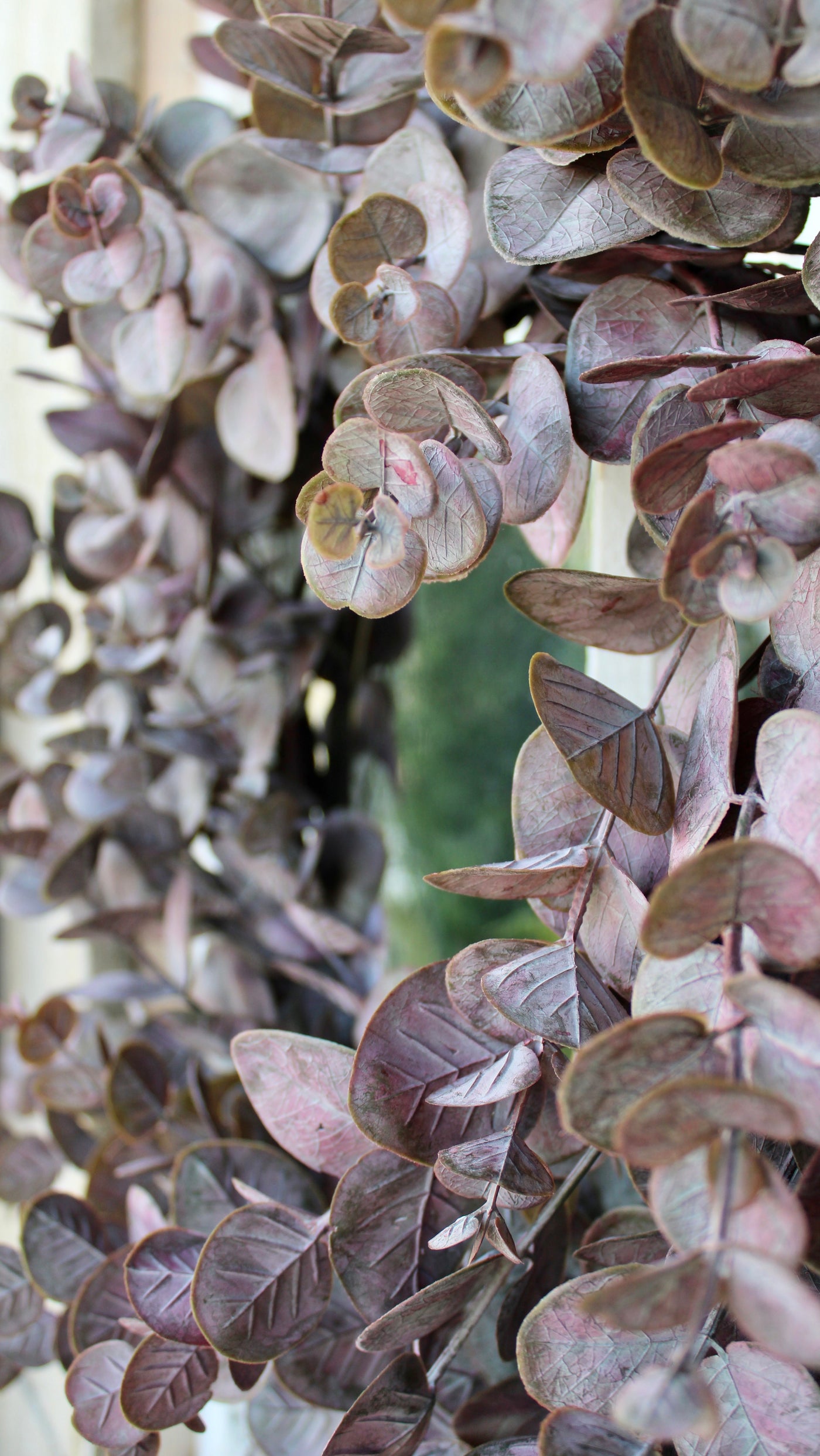 Burgundy Eucalyptus Wreath