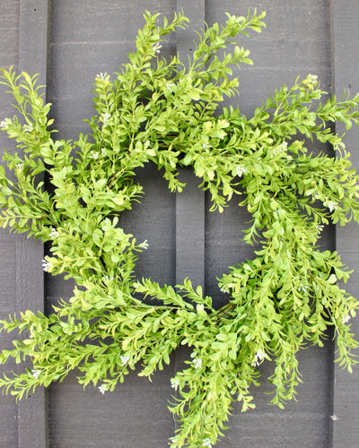24” Common Boxwood Wreath