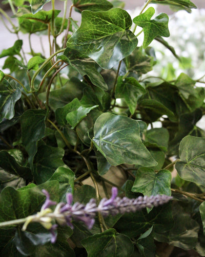 28” Green Ivy Hanging Bush