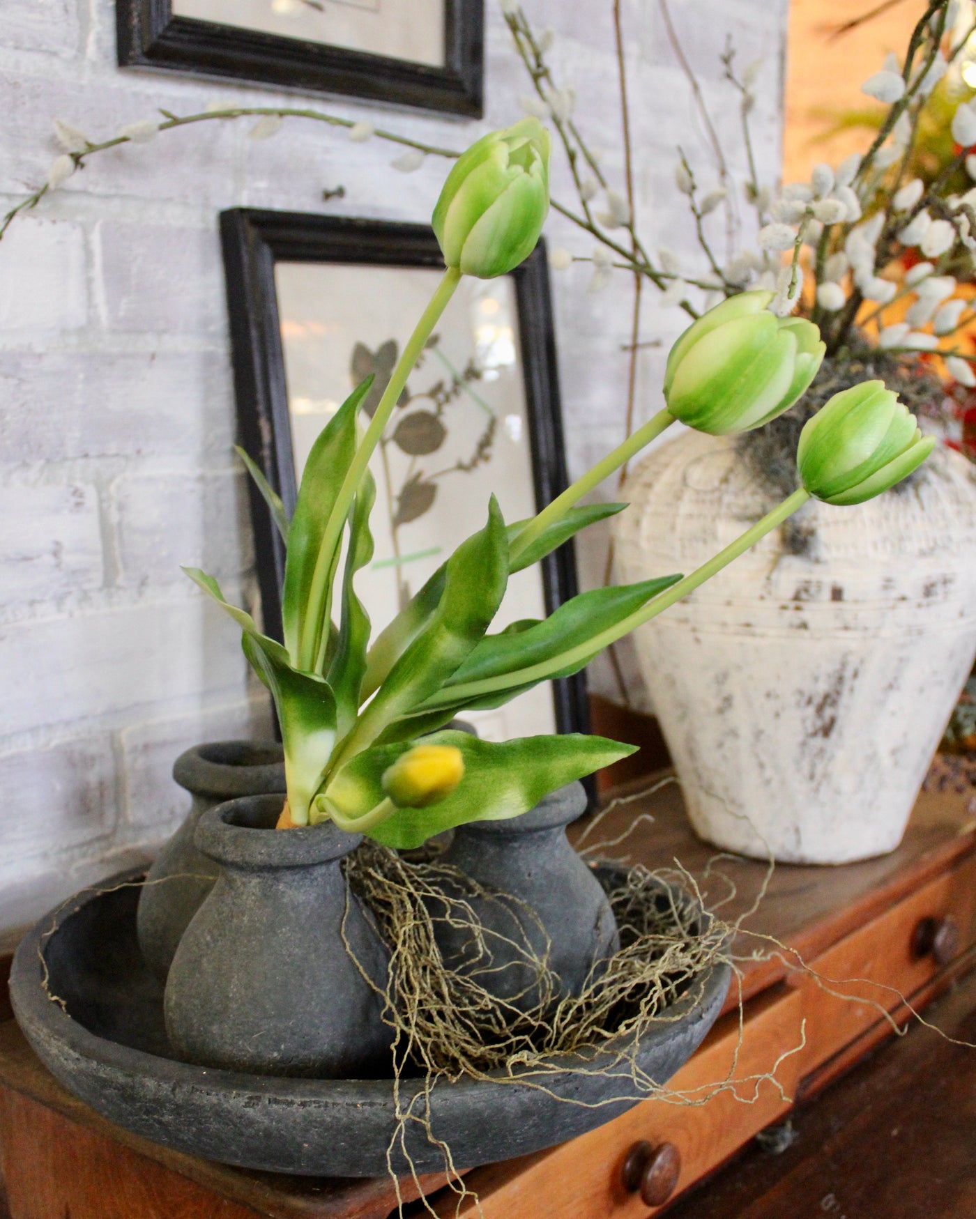 Green Tulip Bundle (5 Stems)