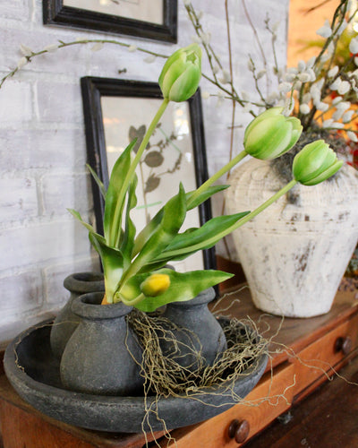 Green Tulip Bundle (5 Stems)