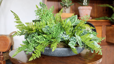 Mixed Fern & Pictus Centrepiece