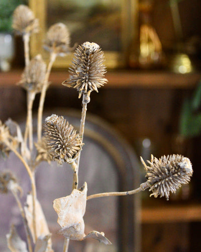 Faux Dried Thistle Spray